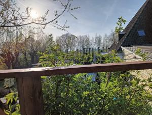 a wooden fence in front of a garden at Sweet Treehouse in Westbeemster