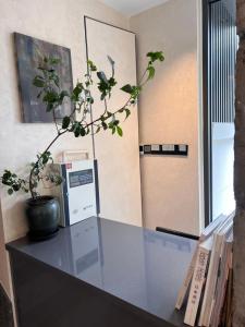 a glass table with a potted plant on top of it at Moli Hotel Beijing Huguosi Ping'anli Subway Station Branch in Beijing +17 photos