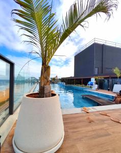 a palm tree in a white planter next to a pool at VAN GOGH-SE Studio privado com Rooftop, garagem, piscina aquecida in Salvador