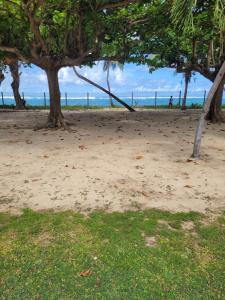 a beach with trees and the ocean in the background at Les alizés in Le Moule