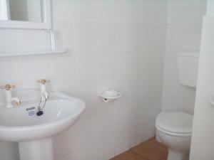 a white bathroom with a toilet and a sink at Boulders Beach Hotel, Cafe and Curio shop in Simonʼs Town