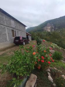 K'vemo ZhoshkhaNatas Saxli的相册照片