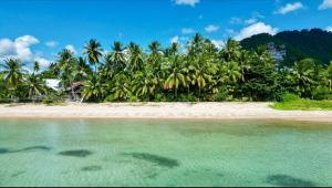 a beach with a bunch of palm trees and the water at One bedroom beach house near Lamai in Hua Thanon Beach
