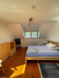 a bedroom with a bed and a television in it at Casa Nonna in Klagenfurt