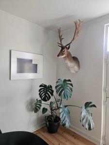 Fotografie z fotogalerie ubytování HCA House v destinaci Odense