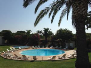 a pool with lounge chairs and a palm tree at Vilamar in Luz