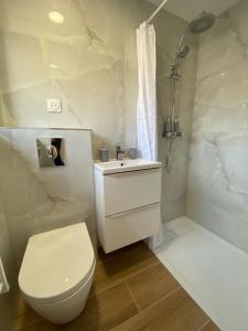 a white bathroom with a toilet and a shower at Studio climatisé 30 m2 à 2 min de Colmar in Horbourg