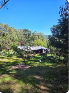a person standing in a field in front of a house at Thrums Bush Retreat in Upper Orara