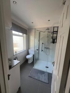a bathroom with a toilet and a shower with a glass door at Large one bedroom beach apartment in Bel Royal