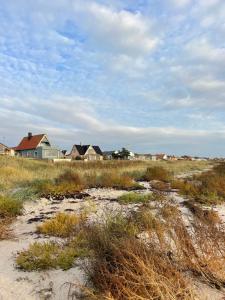 a group of houses on a beach with grass at Havsnära studio in Höganäs