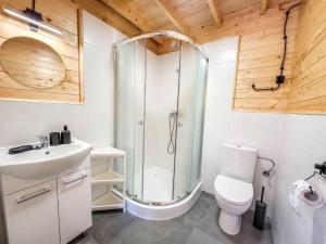 a bathroom with a shower and a toilet and a sink at Starkowo pod lasem in Starkowo
