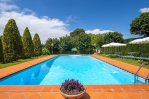 a large swimming pool with trees and bushes at Campo Grande by VacaVilla in Santa Cristina +31 photos