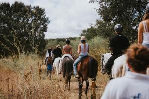 a group of people riding horses on a trail at Octant Evora in Évora