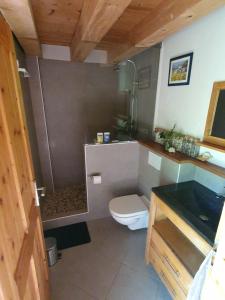 a bathroom with a toilet and a shower and a sink at Séjour paisible près de Genève in Neydens +23 photos