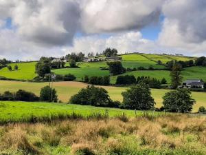 a green hillside with trees in a field at Kerrib Farm in Pomeroy