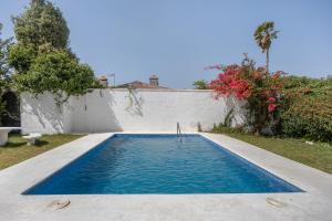 Bazén v ubytování Albatros 1 nebo v jeho okolí