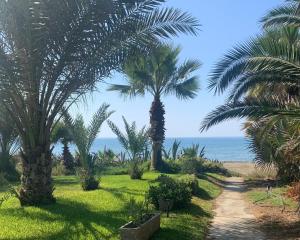 a path leading to a beach with palm trees at Sandy Beach Villas Sea View Apartment Pyla in Larnaka