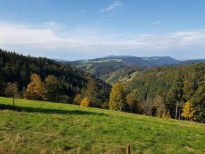 a green field with trees and hills in the background at Ferienwohnungen Schönwald in Schonwald im Schwarzwald
