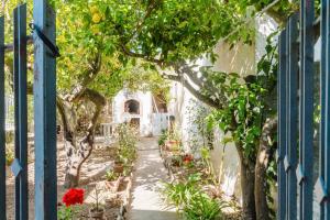 a garden through a blue gate with flowers and trees at Villetta Vittorio Stella in Valderice
