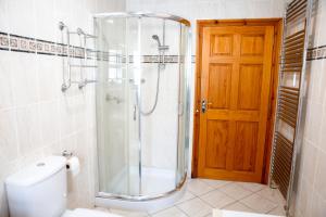 a bathroom with a shower with a toilet and a door at Aberystwyth Cottage Ilar in Llanilar +20 photos