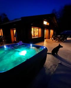 a dog sitting next to a swimming pool at night at La Grange de Véro in Habère-Poche