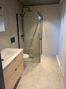 Un baño con ducha, lavabo e inodoro. en Brand new house close 2 Skiresort, en Hemsedal 16 fotos más