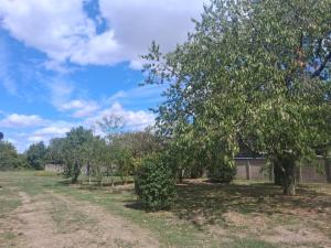 Κήπος έξω από το Maison Mobile MobilHome 22 route de Châtellerault 36290 Mézières en Brenne