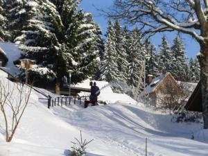 a person standing in a snow covered yard at Ferienhaus Elfi in Oberbränd