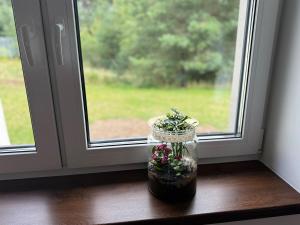 a glass jar filled with flowers sitting on a window sill at Dom przy lesie in Koniecwałd