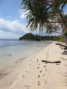 Landskap semula jadi dekat dengan chalet