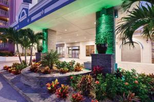大洋城的住宿－大洋城假日酒店，棕榈树和植物的酒店大堂