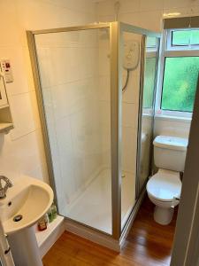 a bathroom with a shower and a toilet at Le Chalet - 2 Bedroom Chalet House sleeps 3 in Pembrokeshire