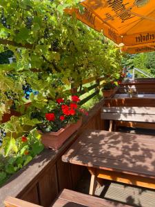 Κήπος έξω από το Gasthaus Bellevue