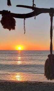 Příroda nedaleko prázdninového domu