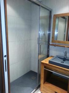 a bathroom with a shower and a sink at Résidence Les Balcons Des Curtious - Appartement 3 pièces - 6 personnes MAE-2183 in Bessans