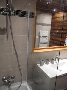 a bathroom with a shower and a sink and a mirror at Résidence La Bergerie - Appartement 2 pièces chaleureux et bien équipé MAE-2223 in Bonneval-sur-Arc