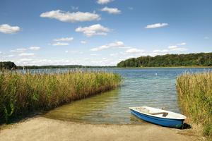 a small boat sitting on the shore of a lake at SEEZIEGE Uckermark - Ferienwohnungen am Carwitzer See in Thomsdorf