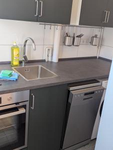 una cocina con fregadero y encimera en City Apartment - Heinrich der Löwe - City Center - Keybox - 3 Persons, en Brunswick 8 fotos más