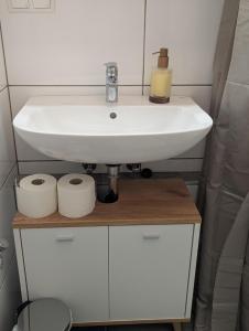 baño con lavabo y 2 rollos de papel higiénico en City Apartment - Heinrich der Löwe - City Center - Keybox - 3 Persons, en Brunswick
