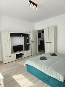 a bedroom with a large bed and a flat screen tv at Studio Râșnov VMP Free Parking in Râşnov