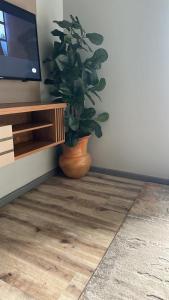 Μια τηλεόραση ή/και κέντρο ψυχαγωγίας στο Bina Apartment3