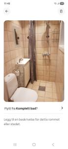 a bathroom with a sink and a toilet and a shower at Hybelleilighet - Privat - no parking in Tromsø +2 photos