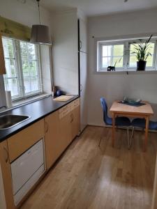 a kitchen with a sink and a table and two windows at Hybelleilighet - Privat - no parking in Tromsø