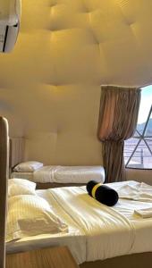 Fotografie z fotogalerie ubytování Wadi Rum Bubbles Luxury Camp v destinaci Wadi Rum