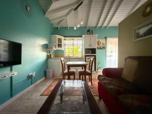 TV a/nebo společenská místnost v ubytování Mountain View Apartments