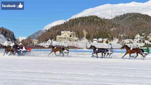 Un grupo de caballos corriendo en una carrera en la nieve. en Hotel Waldhaus am See, en St. Moritz