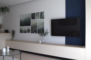 TV a/nebo společenská místnost v ubytování The Lake Home B1, Ap 29