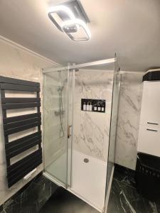 a shower with a glass door in a bathroom at Großzügige 2-Etagen-Wohnung - Garten& Natur&See in Böhlen