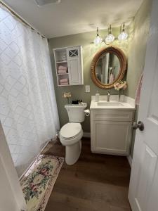 une salle de bain avec toilettes, lavabo et miroir dans l'établissement The Rose Cottage at The Carriage House, à Guthrie