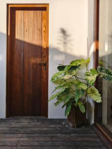 een plant in een pot naast een deur bij The Green Atelier Bali in Jimbaran